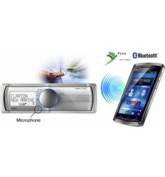 Reproductor Marino Clarion M502 2