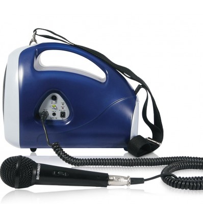 Sistema Behringer PA 40W EPA40